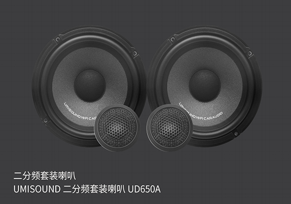 二分频套装喇叭 UMISOUND UD650A 