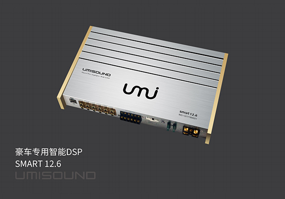 豪车专用智能DSP SMART12.6